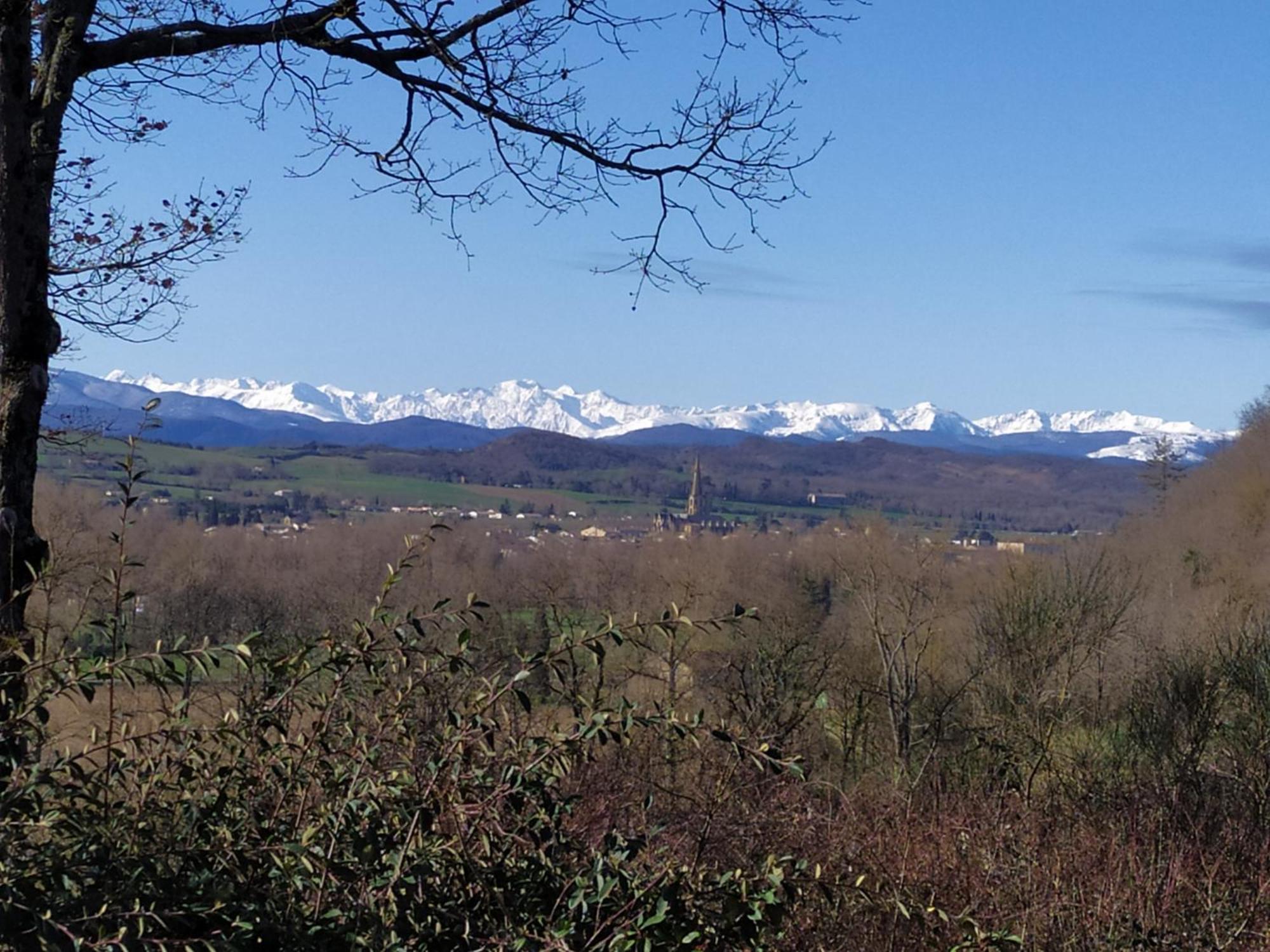 - - - - -Les Colombages - - - - Chambre D'Hotes-Gite- Classement Gite 3 Etoiles Mirepoix  Buitenkant foto